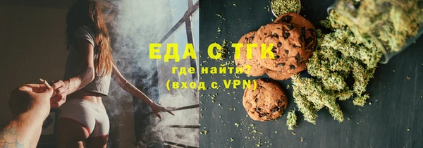 хмурый Алексин